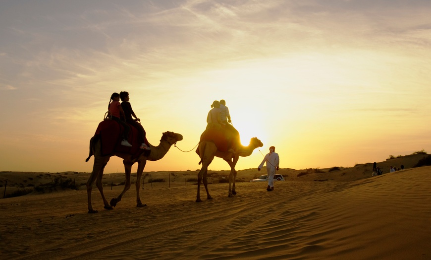 Image 1: Up to 75% Off on Safari Park at Hormuz 1 Tourism