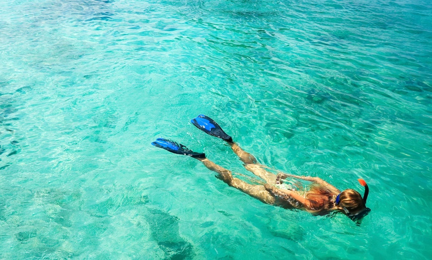Image 1: Up to 40% Off on Snorkeling at Water Taxi Miami