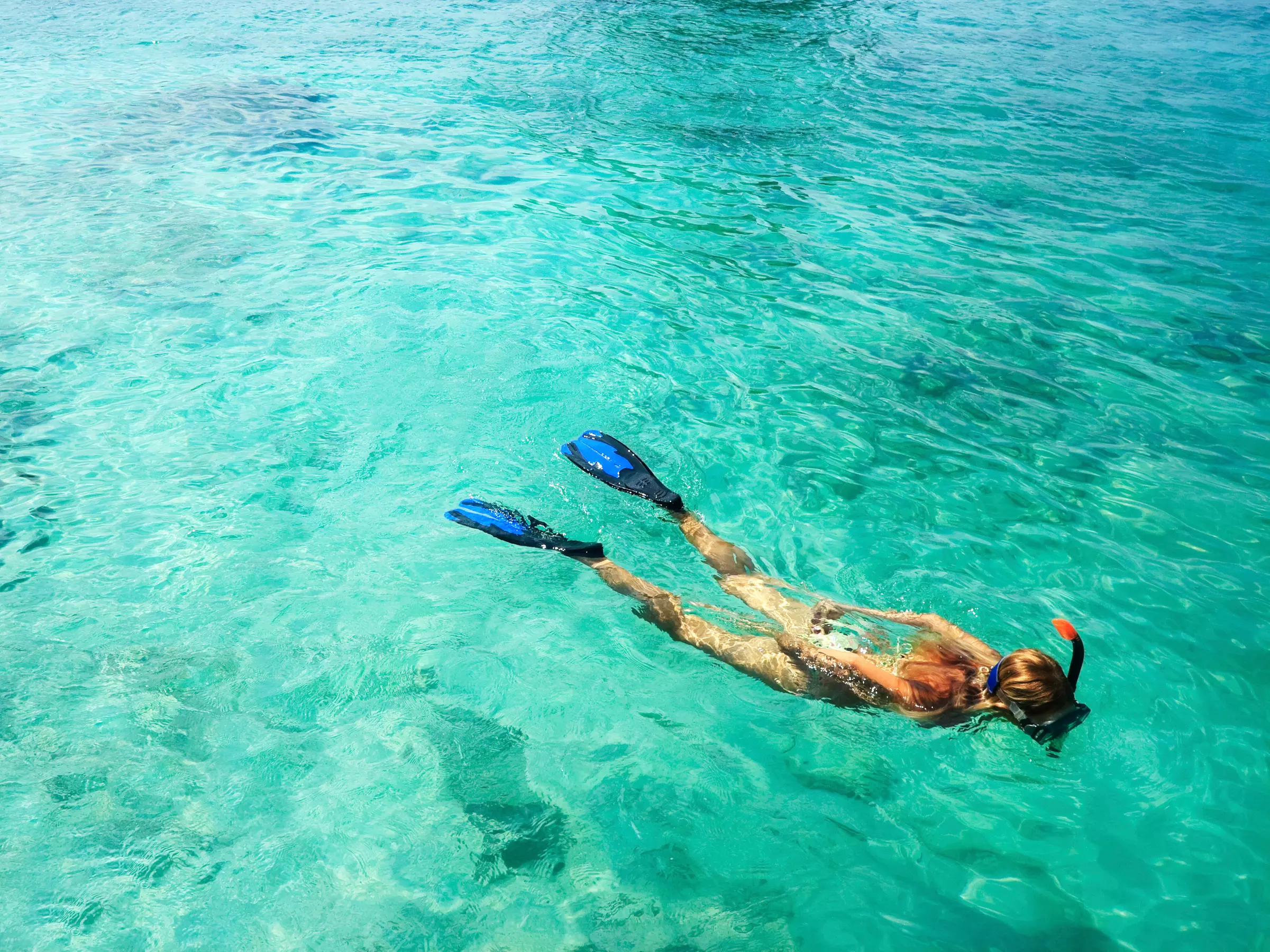 Up to 40% Off on Snorkeling at Water Taxi Miami - Primary Image