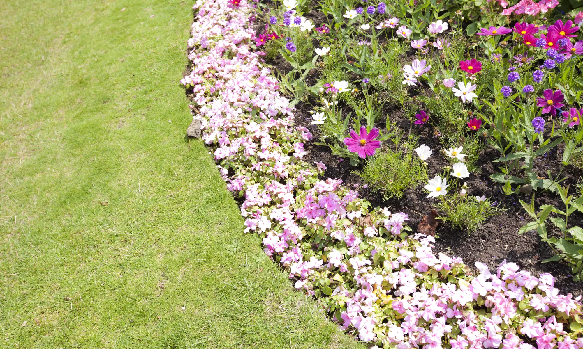 Up to 60% Off on Landscaping at Boro Lawn and Property