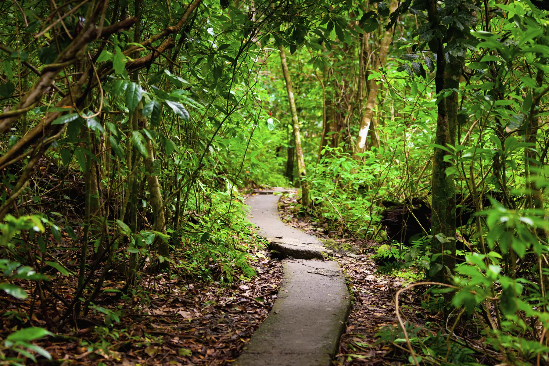 Bis zu 33% Rabatt auf den Tour – Wandern bei Waldbaden Bad Kreuznach - Primary Image