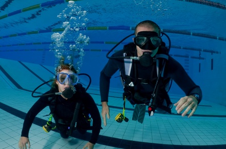 Dive Buddy Scuba Adventures - Up To 45% Off - Export, PA | Groupon