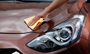 Exterior Wash - Hand Wash - Car