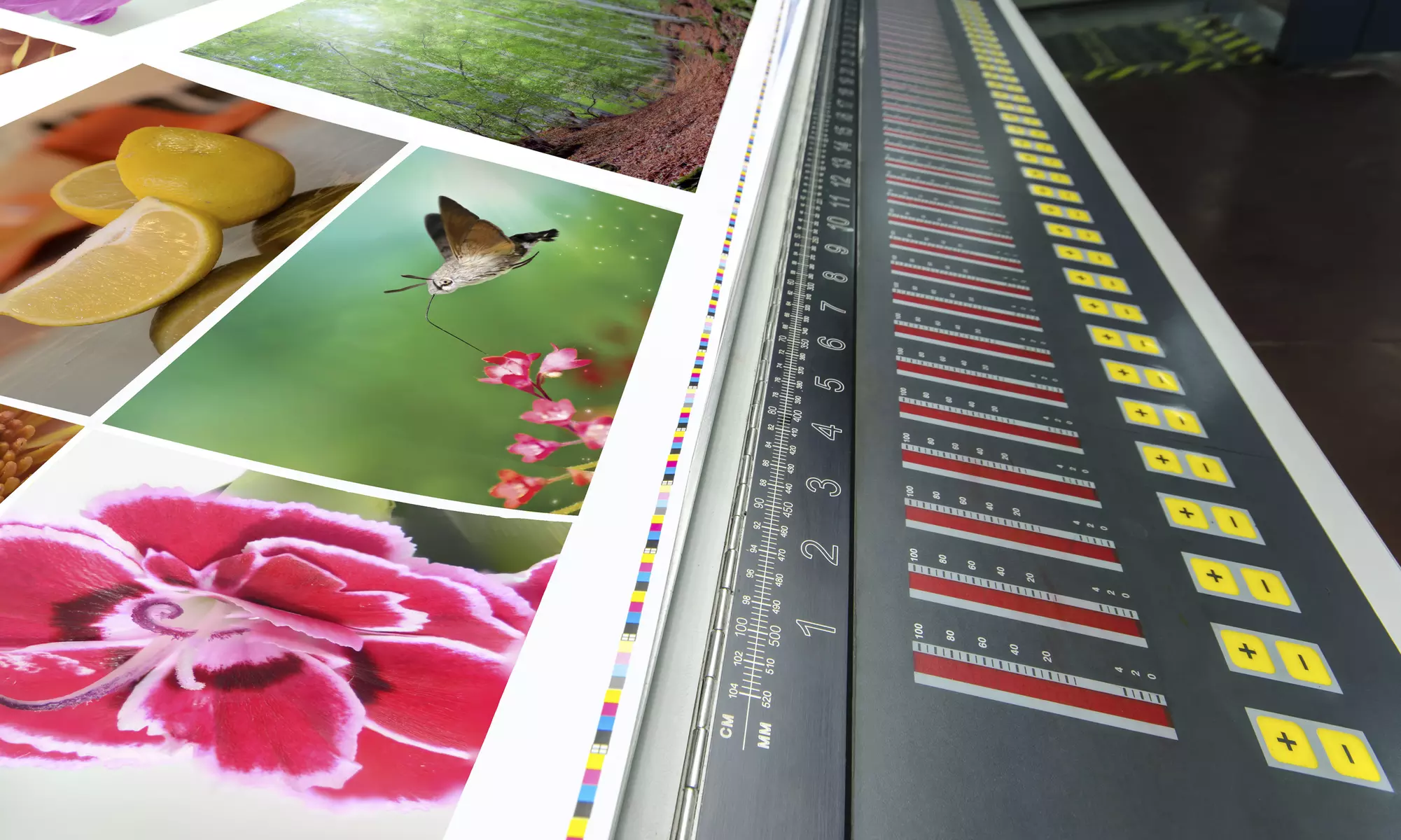 Up to 35% Off at DMS Printing & Design - Primary Image