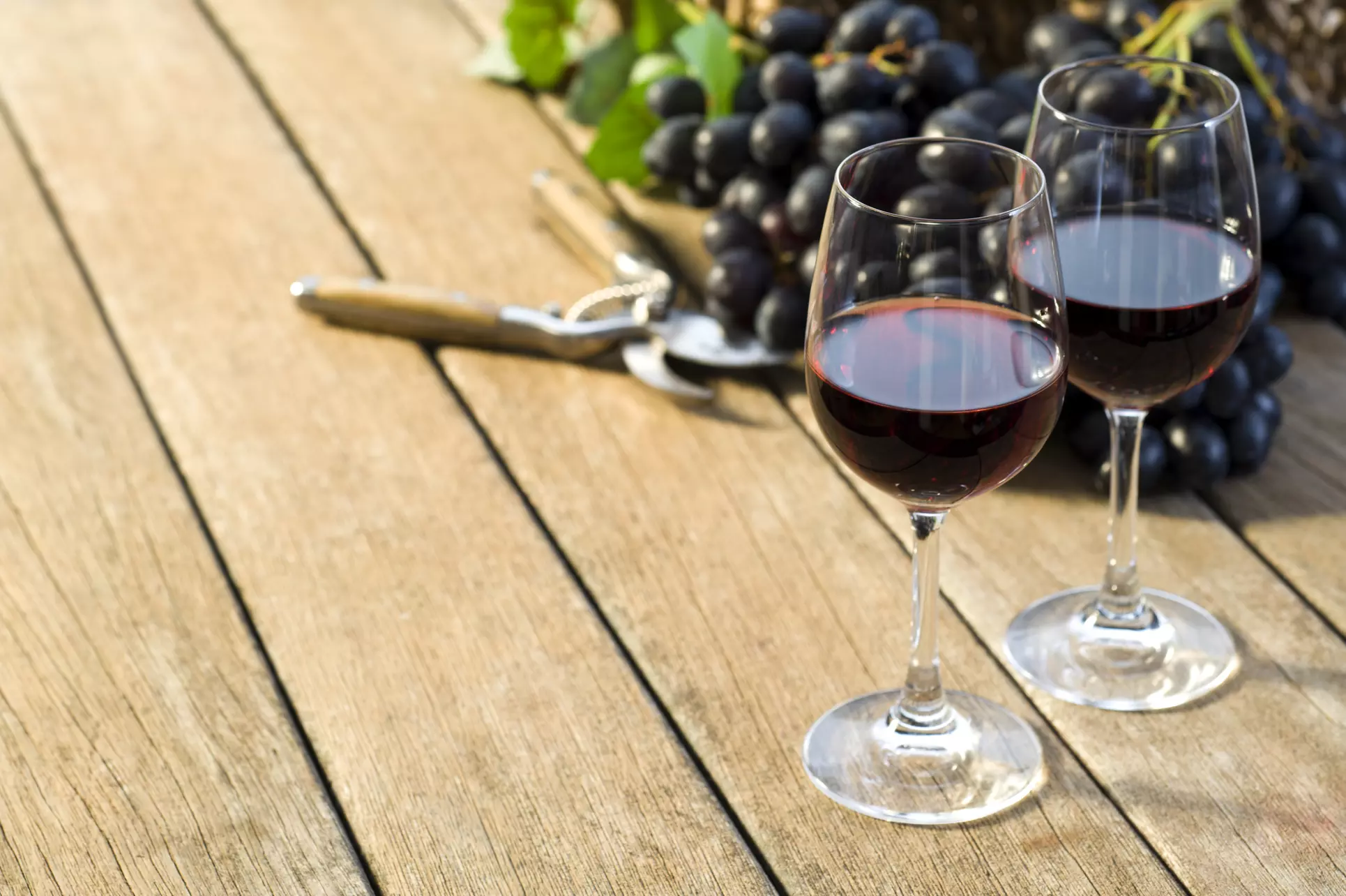 Up to 27% Off on Wine / Vineyard Tour at Wicks and Wines - Primary Image