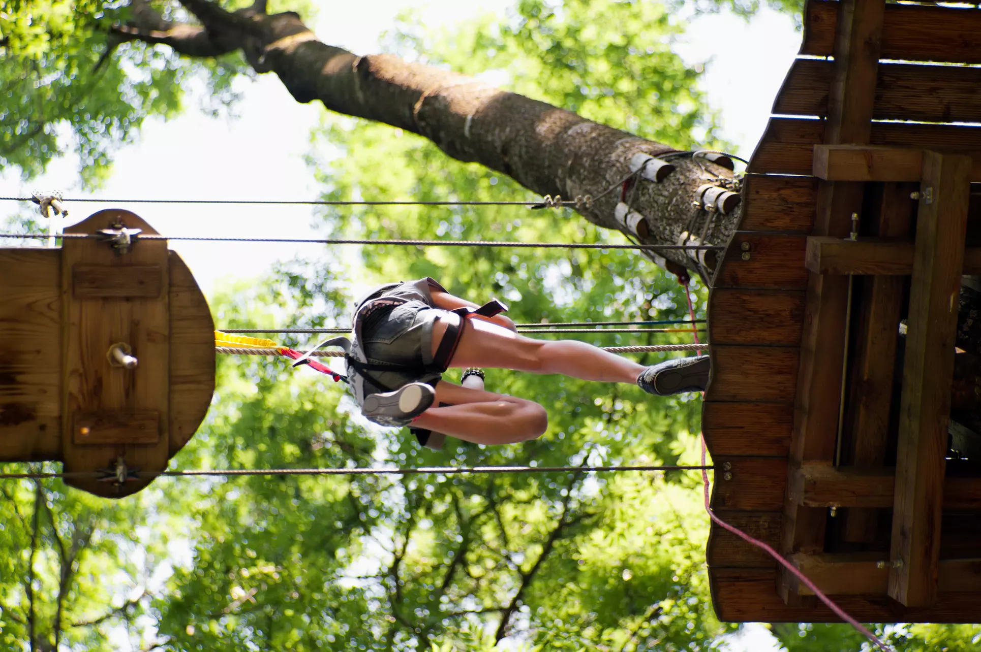 Up to 25% Off on Climbing - Tree at FLG X Adventure Course And Zip Line - Primary Image