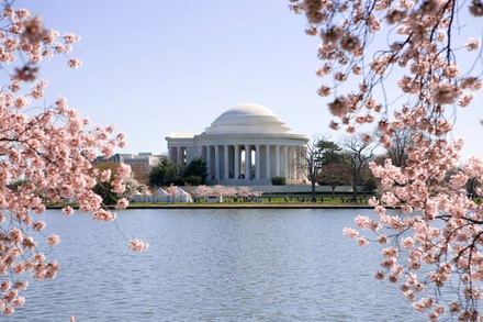 Grand Tour of Washington DC - Zohery Tours in Washington, DC