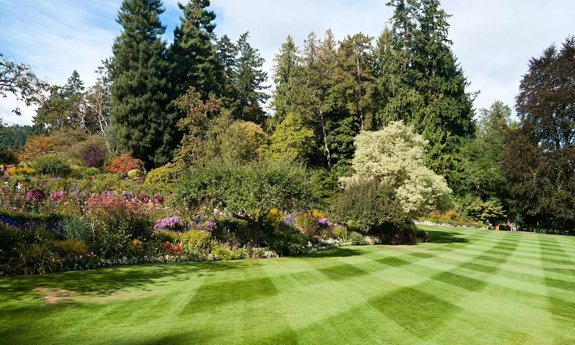 Experience Essence Lawn Care's lawn mowing for up to 1/2 acre with a delightful touch, offering up to 48% off - Primary Image