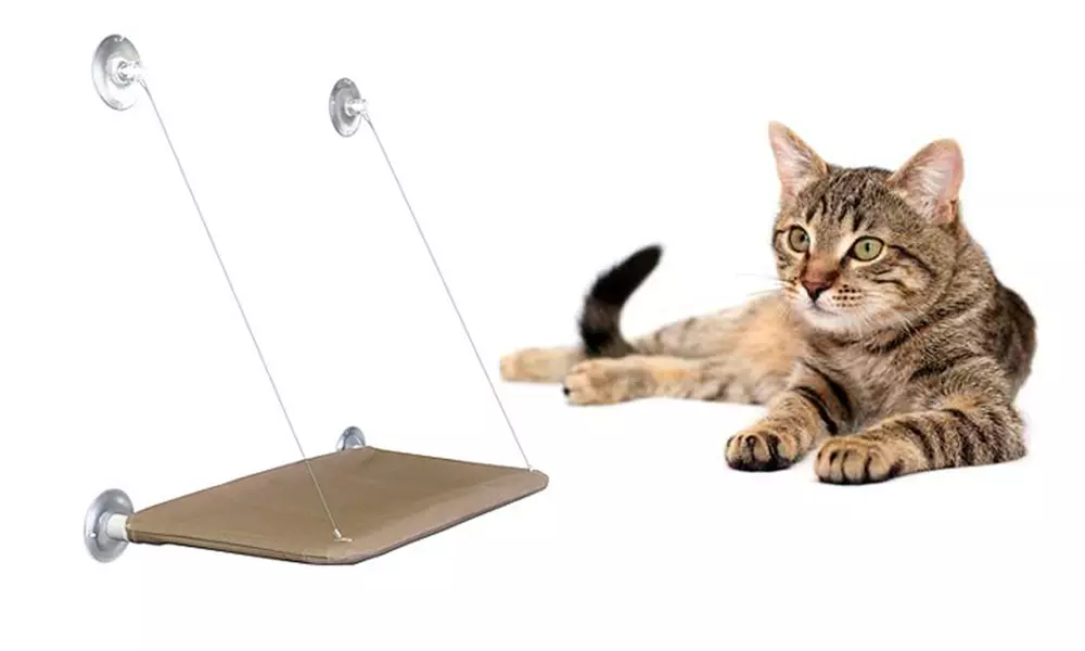 Window-Mounted Cat Bed - Primary Image