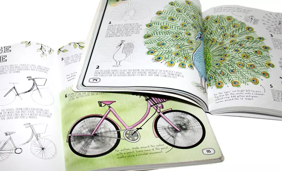 "You Can Draw" Instructional Books for Kids (2-Pack)  - Second Medium