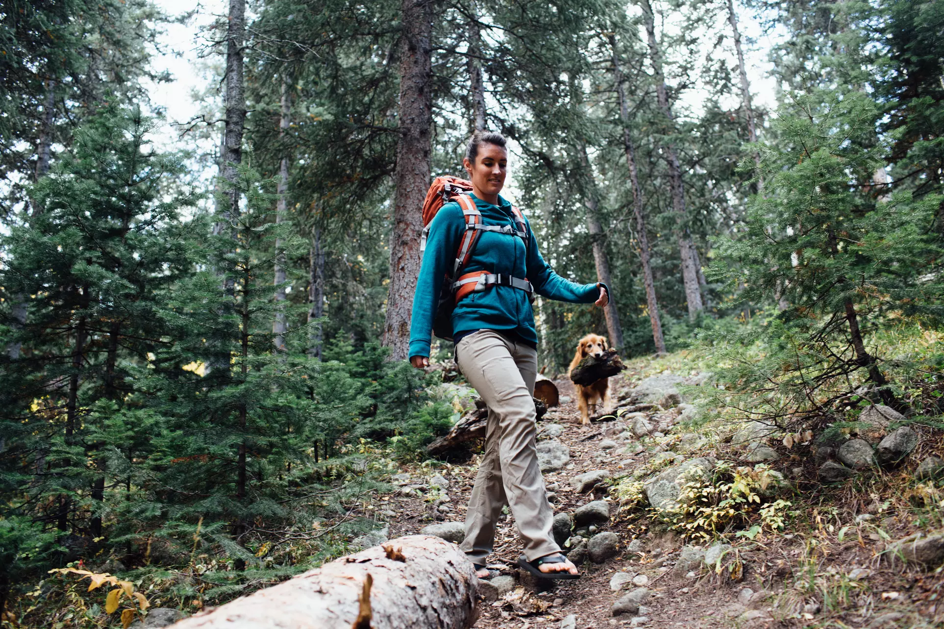 Wenzel Current Hiker Two-Person Tent - Second Medium