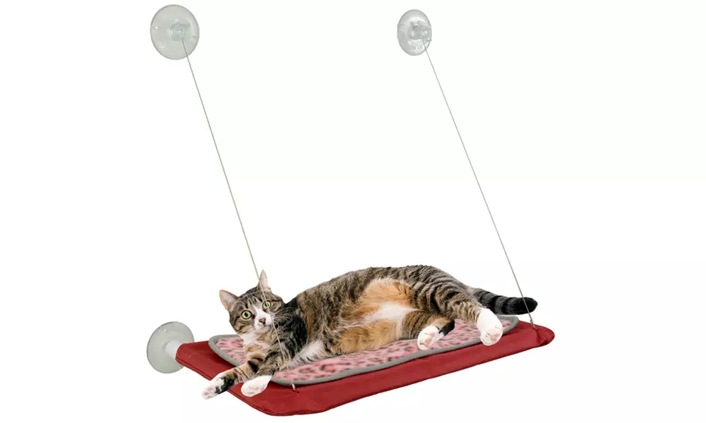 Window-Mounted Cat Bed - Second Medium