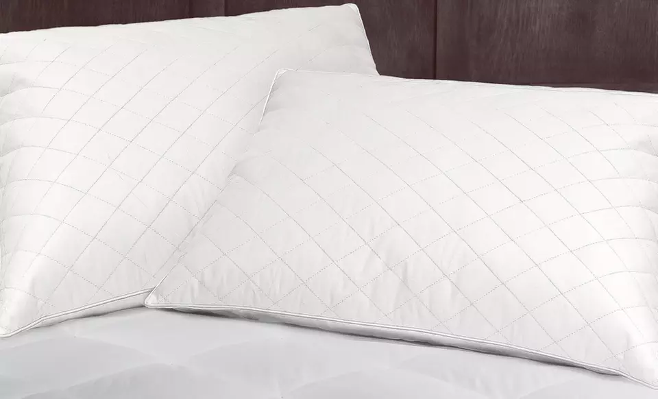 Hotel Peninsula Quilted Feather Pillows (2-Pack) - Primary Image