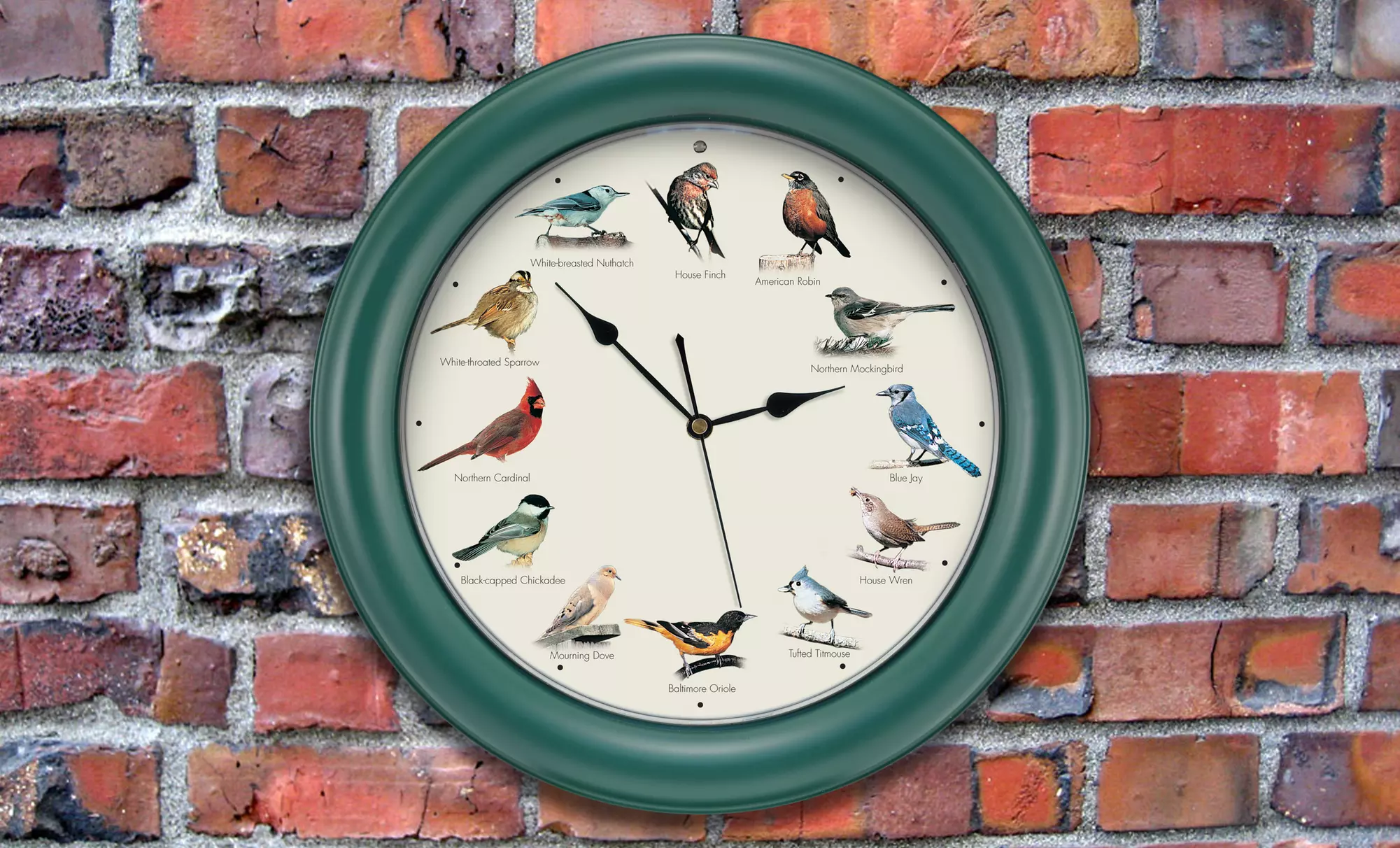 Original Singing Bird Clock - Primary Image