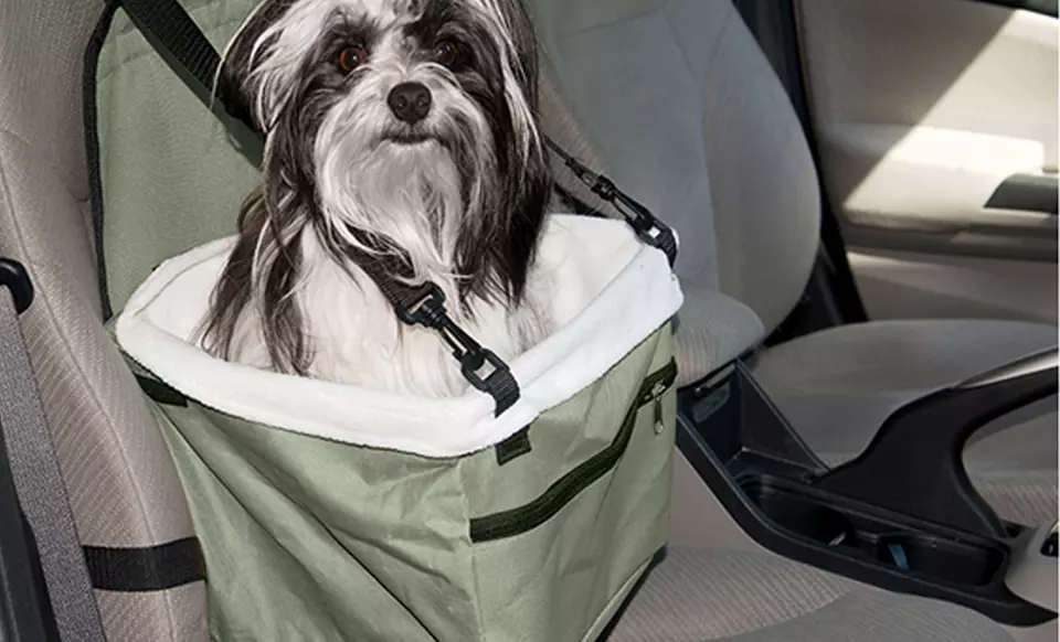 Evelots Window-View Pet Booster Car Seat - Primary Image