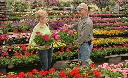 merrifield garden center