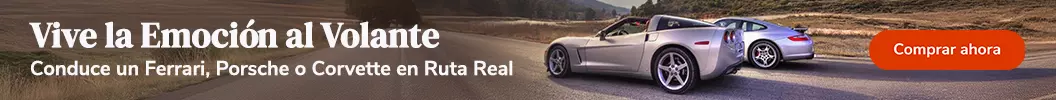 Vive la emoción al volante