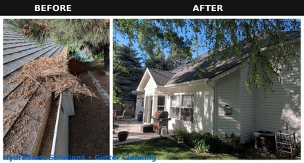 Gutter Cleaning  Single Story - Windows +
