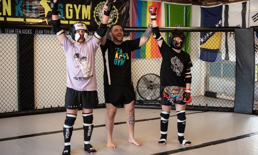 Image 1: Private Group MMA Training for 2 to 20 People 