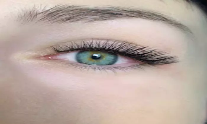 Get a Full Set of Classic or Hybrid Eyelash Extensions