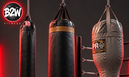 One 60-Minute Private Boxing Training Session - Built2WINN Fitness