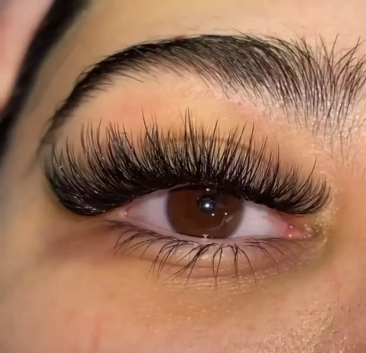 Up to 31% Off on Eyelash Extensions at Mia Amour Beauty Studio