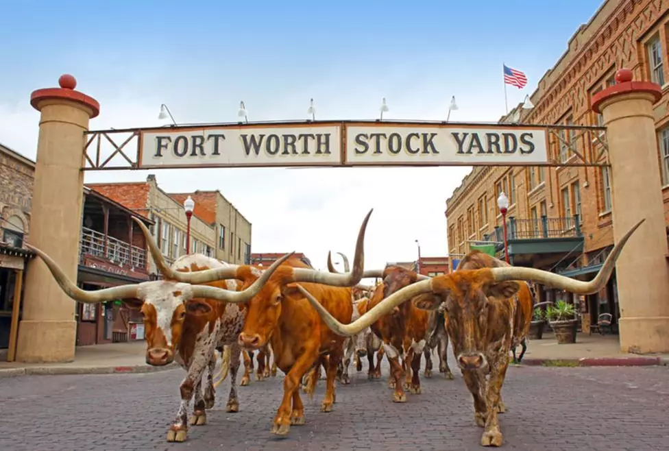 Up to 38% Off on Bus Tour at Texas Winos