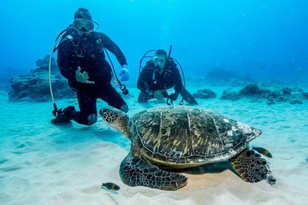 Two Tank Reef Explorer Scuba Adventure - For 1 Person - Aloha Scuba Diving Company - Honolulu