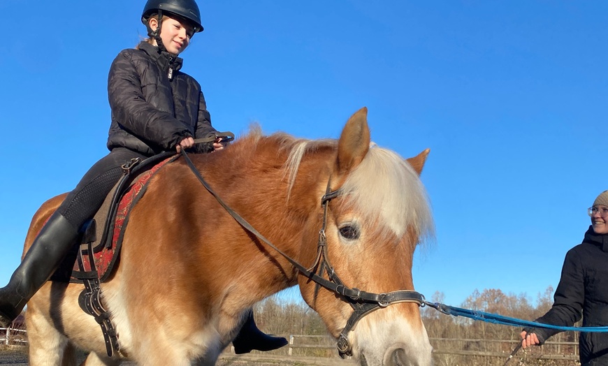 Image 3: Schnupperstunde, 3x oder 10x pferdegestützte Therapie / Reittherapie 