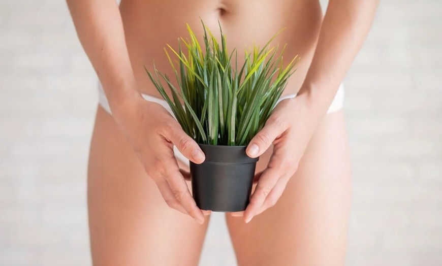 Image 1: Up to 35% Off on Waxing - Brazilian at Ann-e Brows & Beauty