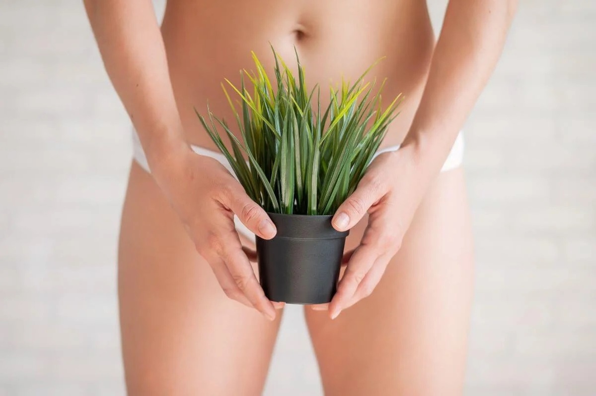 Up to 35% Off on Waxing - Brazilian at Ann-e Brows & Beauty