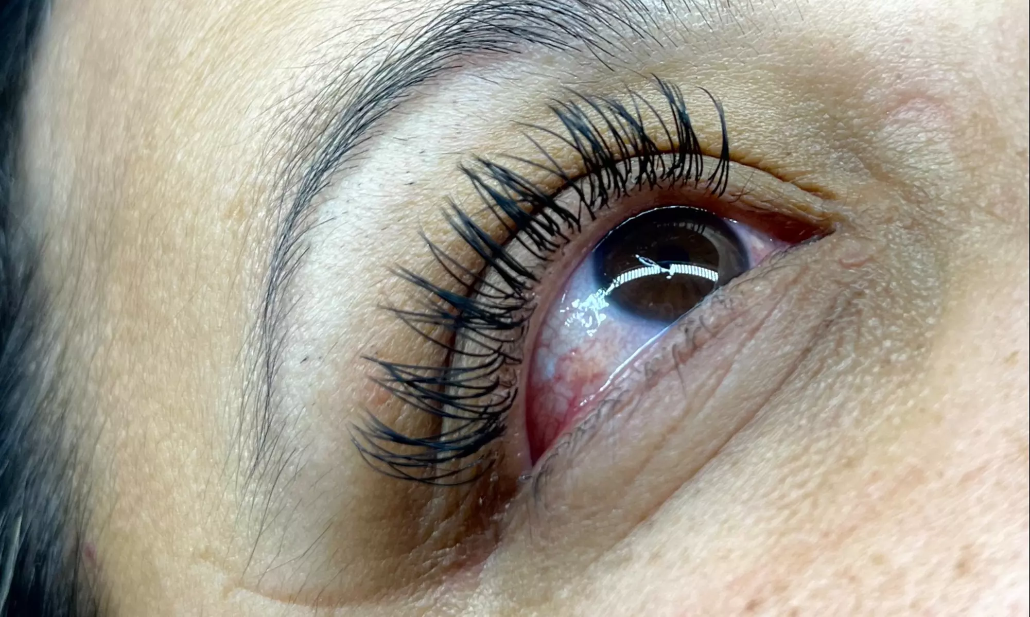 Discover Evolve Beauty Bar's eyelash lift and tint treatments with up to 48% off for beautifully enhanced lashes - Primary Image