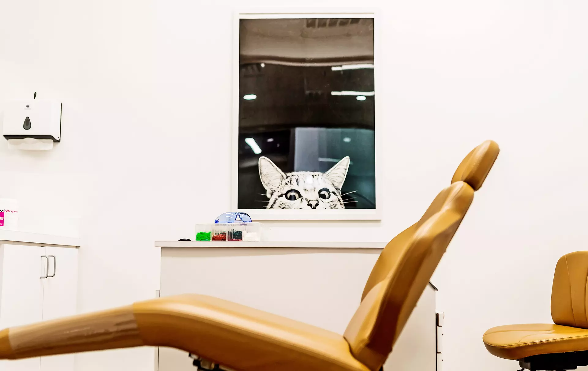 $35 for an Exam, X-Ray, and $1000 Invisalign Credit at Elate Orthodontics ($1,000 Value) - Second Medium