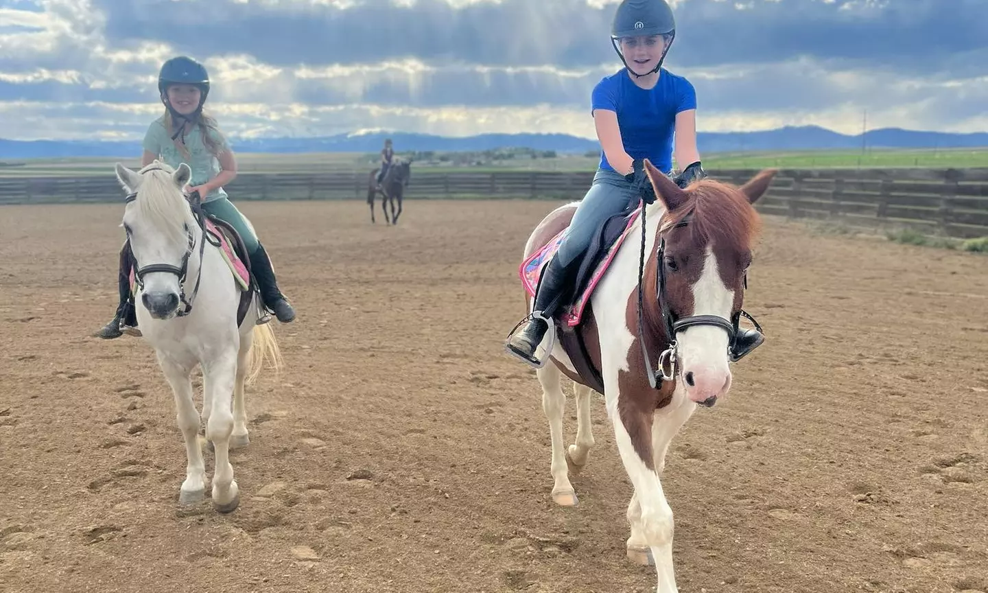 Up to 50% Off on Horse Back Riding - Training at LinK Equestrian - Second Medium