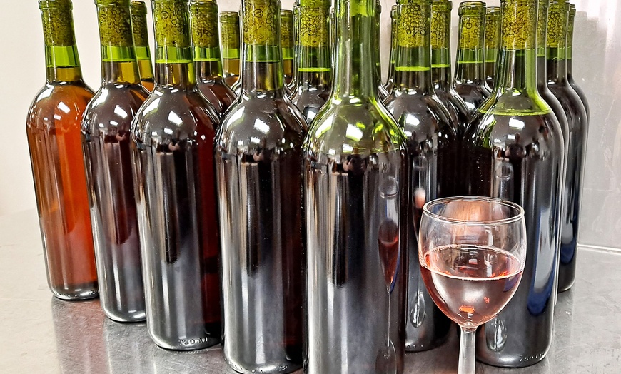 Image 1: Up to 25% Off on Wine Making Course at Sandy Springs Boutique Winery