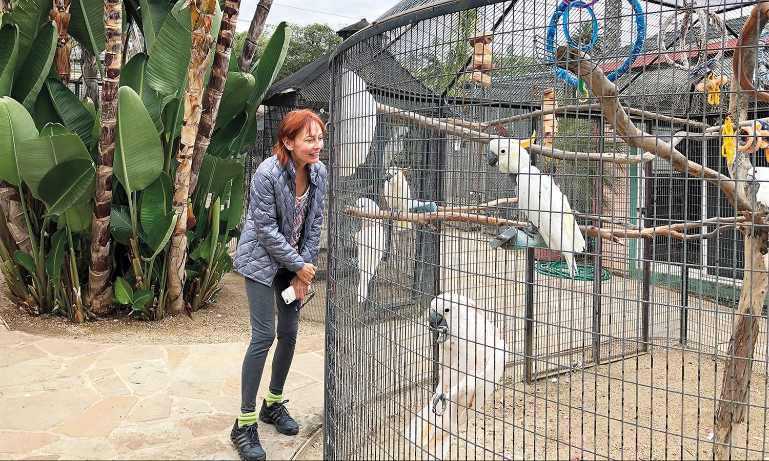 Up to 40% Off on Walking Tour at Santa Barbara Bird Sanctuary