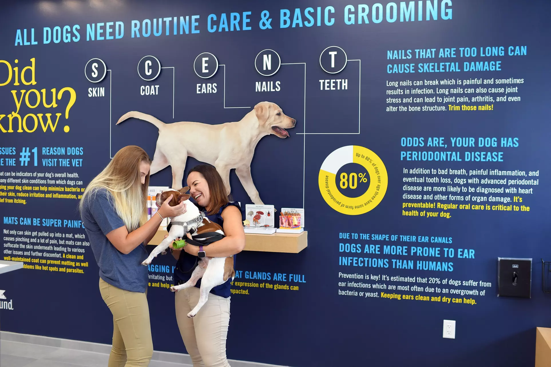 Up to 24% Off on Pet Grooming at Scenthound River Oaks - Primary Image