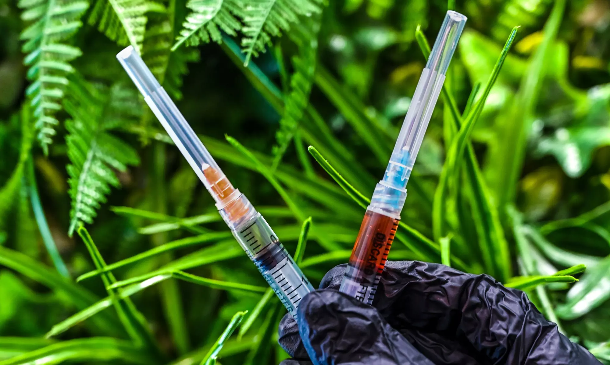 Get a B12 and Tri-Immune or/and Vitamin D Injection from NutriwellProvider (Up to 30% Off) - Primary Image