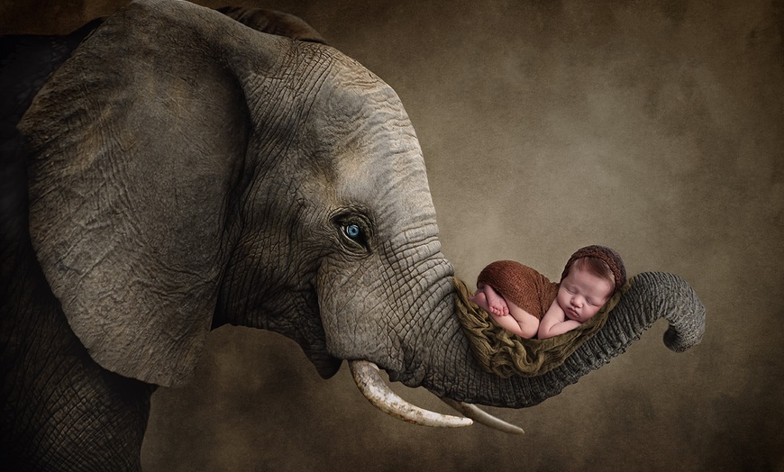 Image 2: Newborn Photoshoot with Print