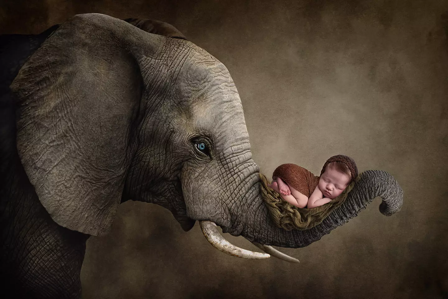 Newborn Photoshoot with Print