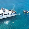 Image 1: 3 Hour Turtle Snorkeling Trip with Gear Included!
