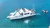 3 Hour Turtle Snorkeling Trip with Gear Included plus Optional 5 in 1 Adventure with Water Sports! 