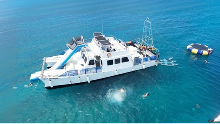 3 Hr Turtle Snorkeling Adventure Trip Observer (You do not get in the water) - E Sea Diver Honolulu