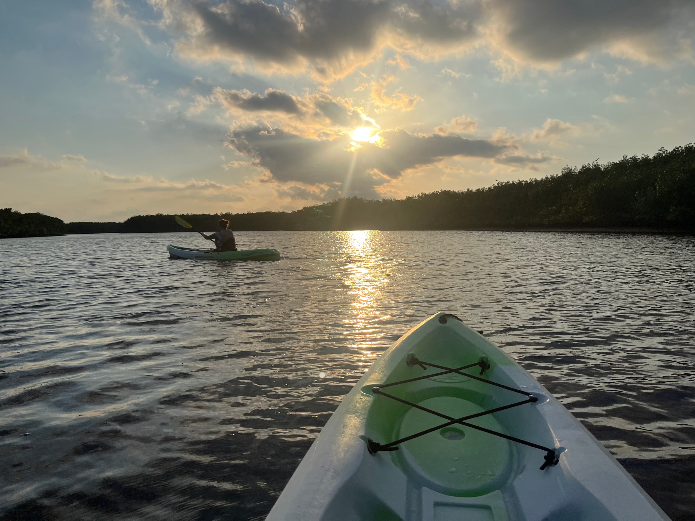 Explore Tampa Bay with 2 Hour Kayak and Paddleboard Rentals