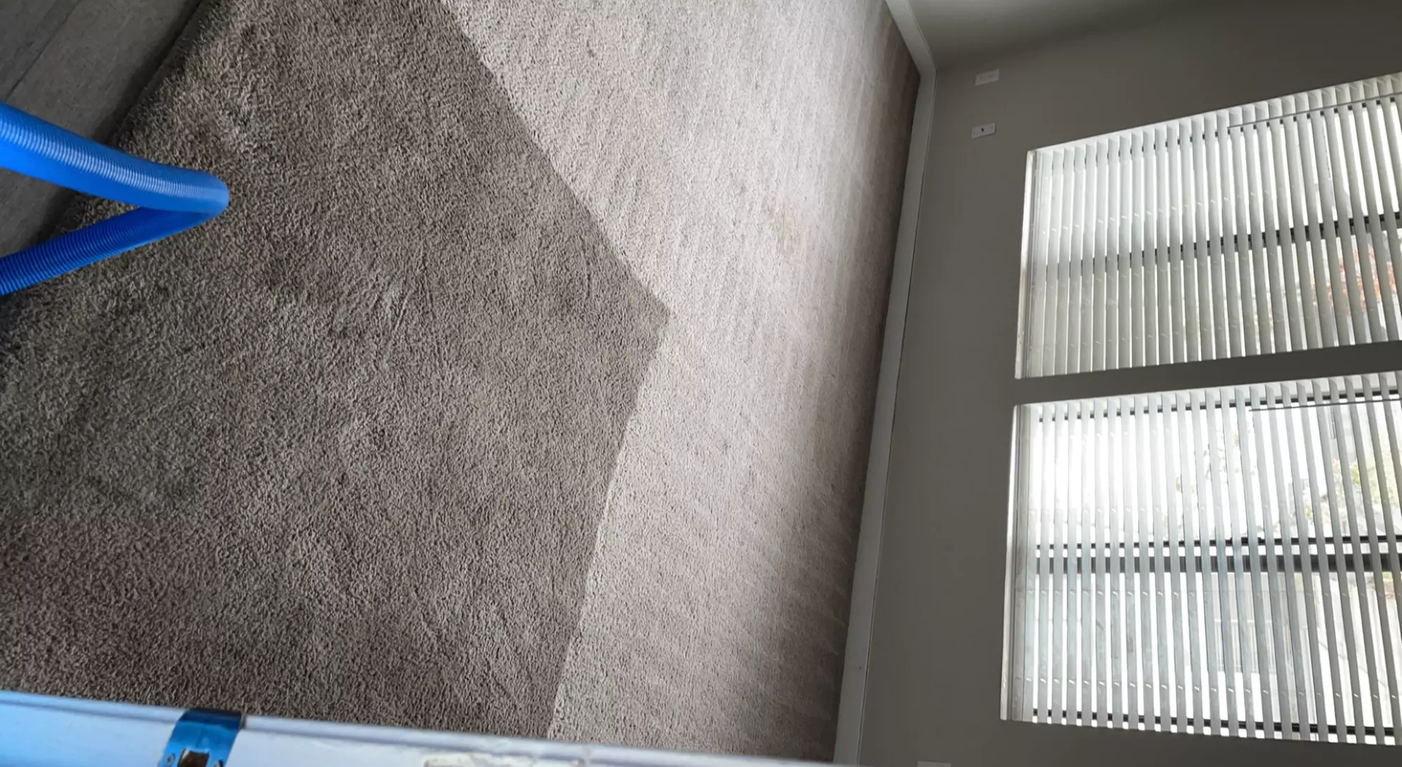 Eco Carpet Cleaning: Rugs and Rooms with Scotch Guard Protection