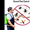 Image 2: Up to 55% Off on Exterminator at Impressive Exterminating Pest Control