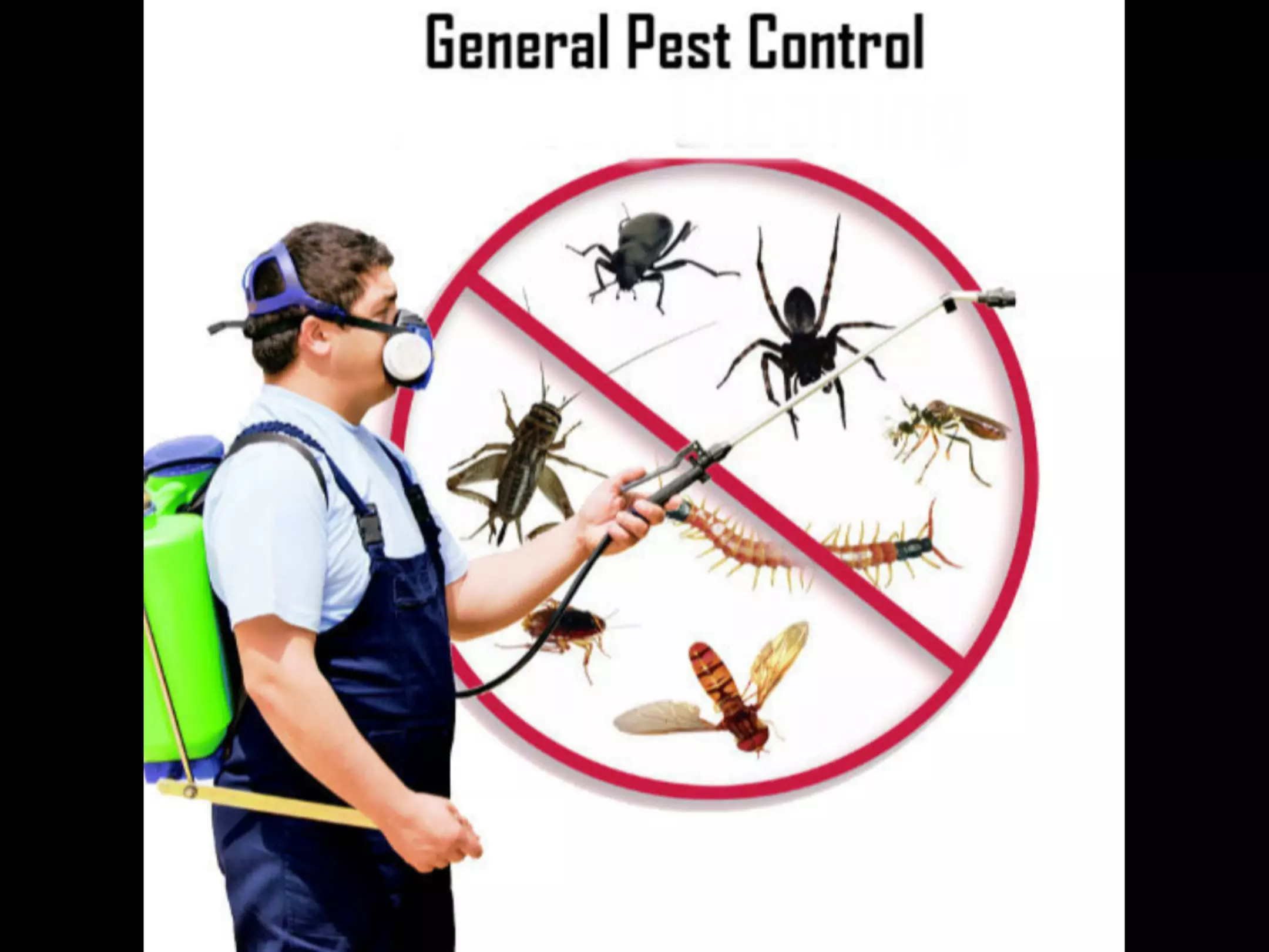 Up to 55% Off on Exterminator at Impressive Exterminating Pest Control