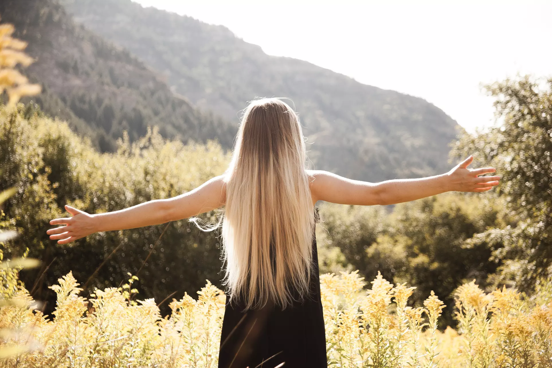 Up to 50% Off on Virtual Reiki Session