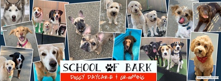 One consecutive week of dog daycare; valid Monday- Friday only - School of Bark