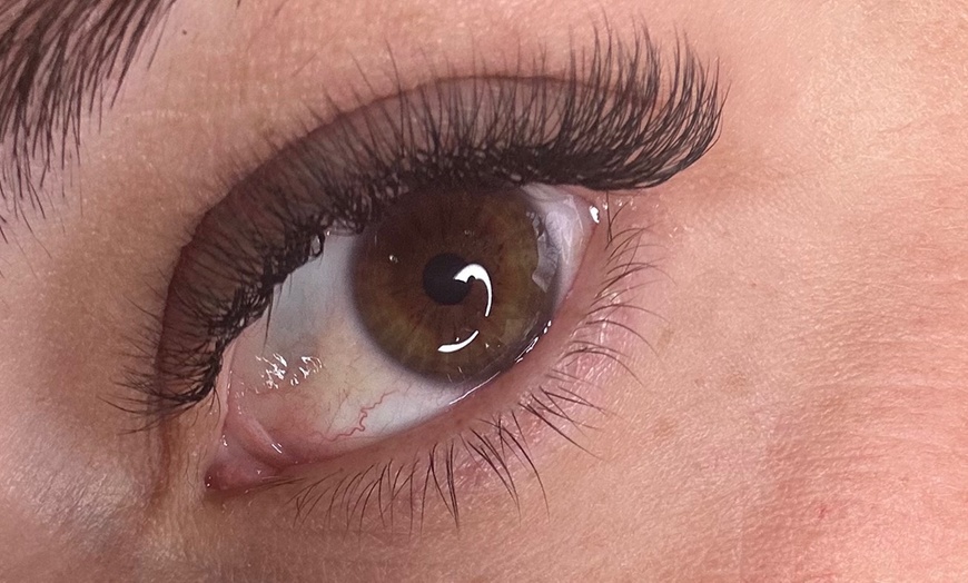 Image 4: Hibridas, Technological, 3D/6D Volume Full Set, or Lash Lift Treatment